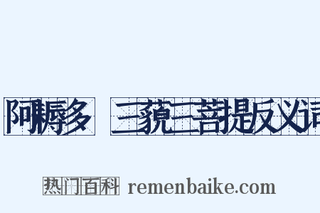 阿耨多羅三藐三菩提反义词是什么意思的图片